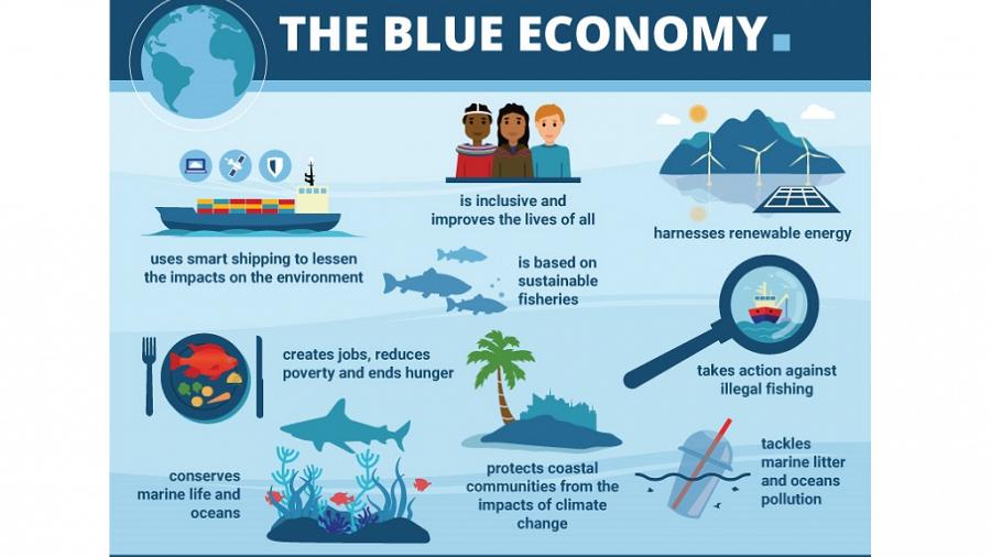Pesca: stop burocrazia e più sostenibilità in agenda 2020 - Ambiente e Pesca  - Mare 